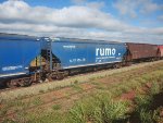RUMO HTT-351274-6